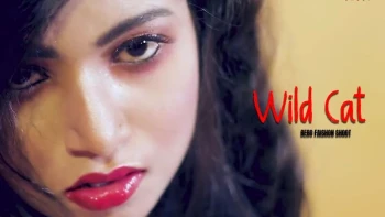 WildCat Bebo EightShots Uncut Short Video